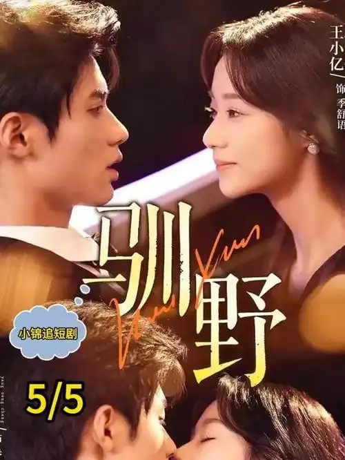 南风知我意 都市情感剧全集